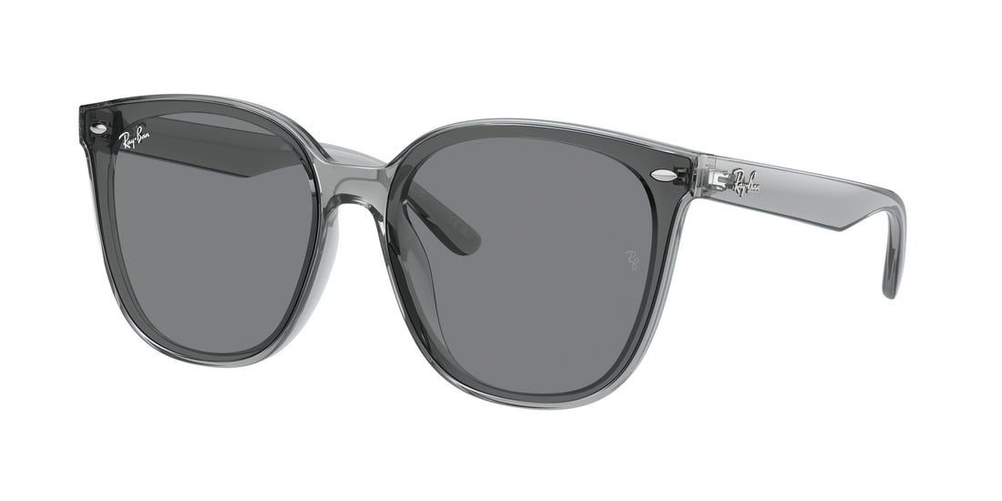 RAY-BAN RB4423D 645087 66 - 19