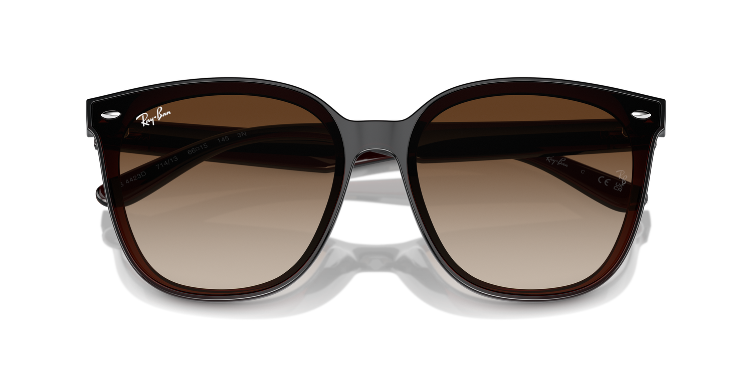 RAY-BAN RB4423D 714/13 66 - 4