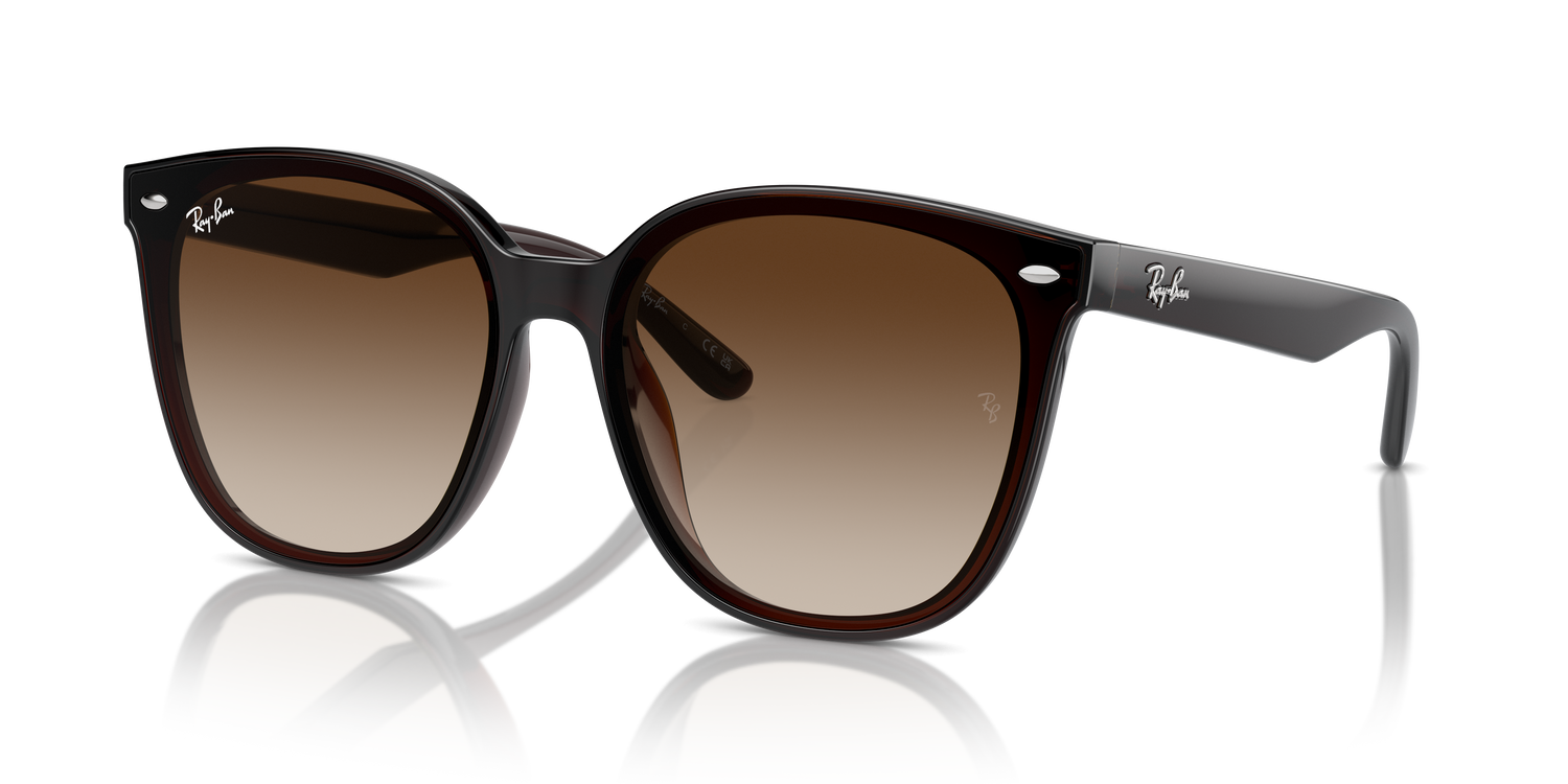 RAY-BAN RB4423D 714/13 66 - 5