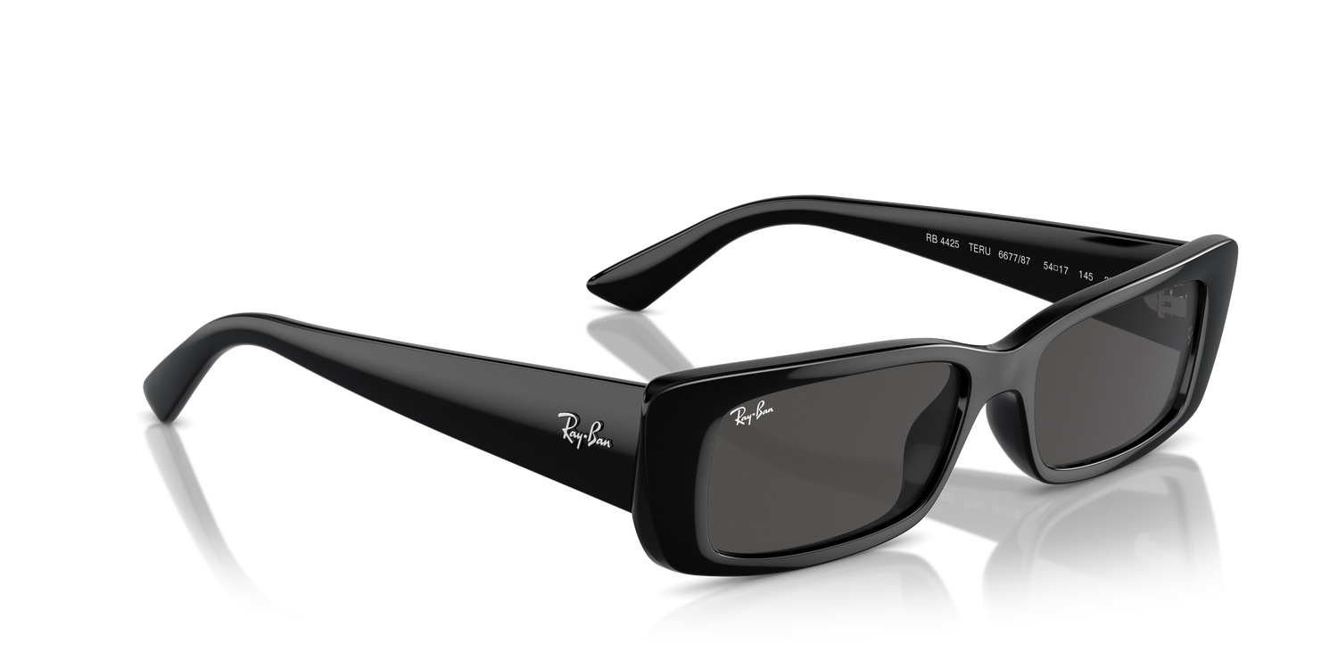 RAY-BAN RB4425 TERU 667787 54