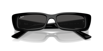 RAY-BAN RB4425 TERU 667787 54