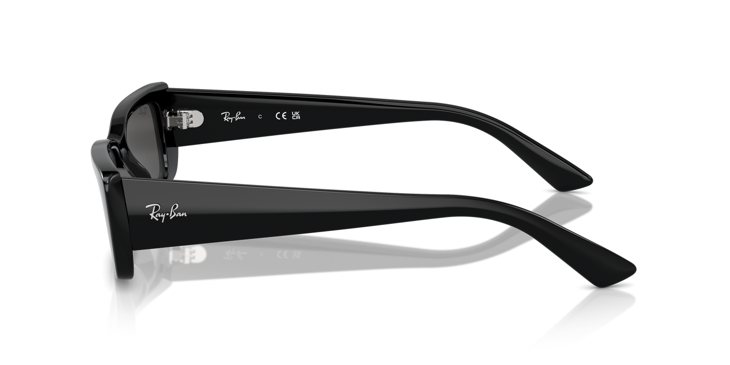 RAY-BAN RB4425 TERU 667787 54