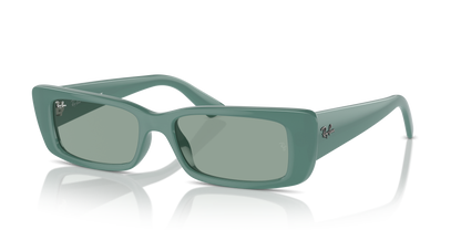 RAY-BAN RB4425 TERU 676282 54