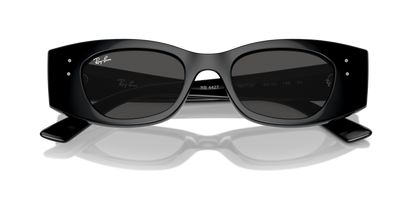 RAY-BAN RB4427 KAT 667787 49