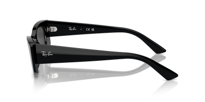 RAY-BAN RB4427 KAT 667787 49