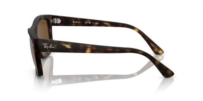 RAY-BAN RB4428 894/57 56