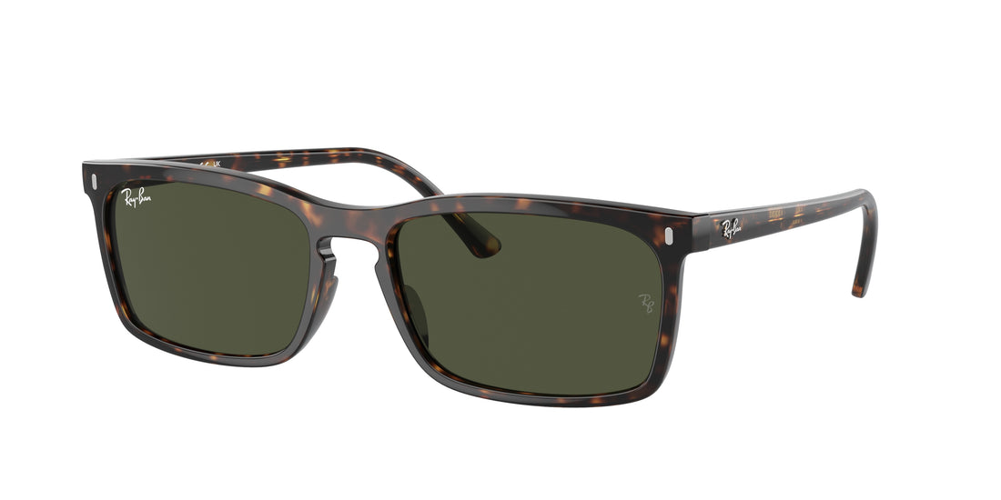 RAY-BAN RB4435 902/31 59 - 6