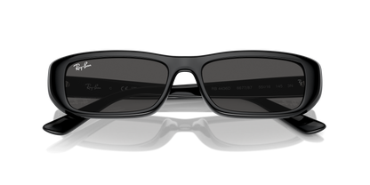 RAY-BAN RB4436D 667787 55