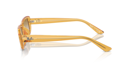 RAY-BAN RB4436D 668213 55