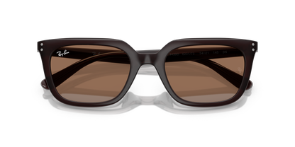 RAY-BAN RB4439D 623173 54