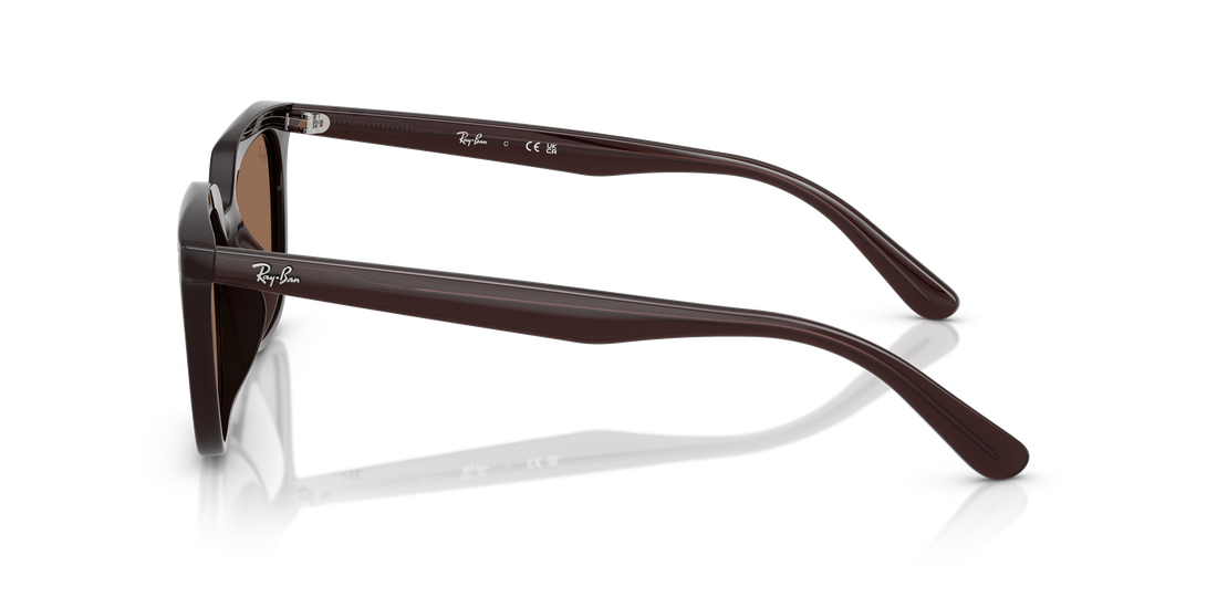 RAY-BAN RB4439D 623173 54