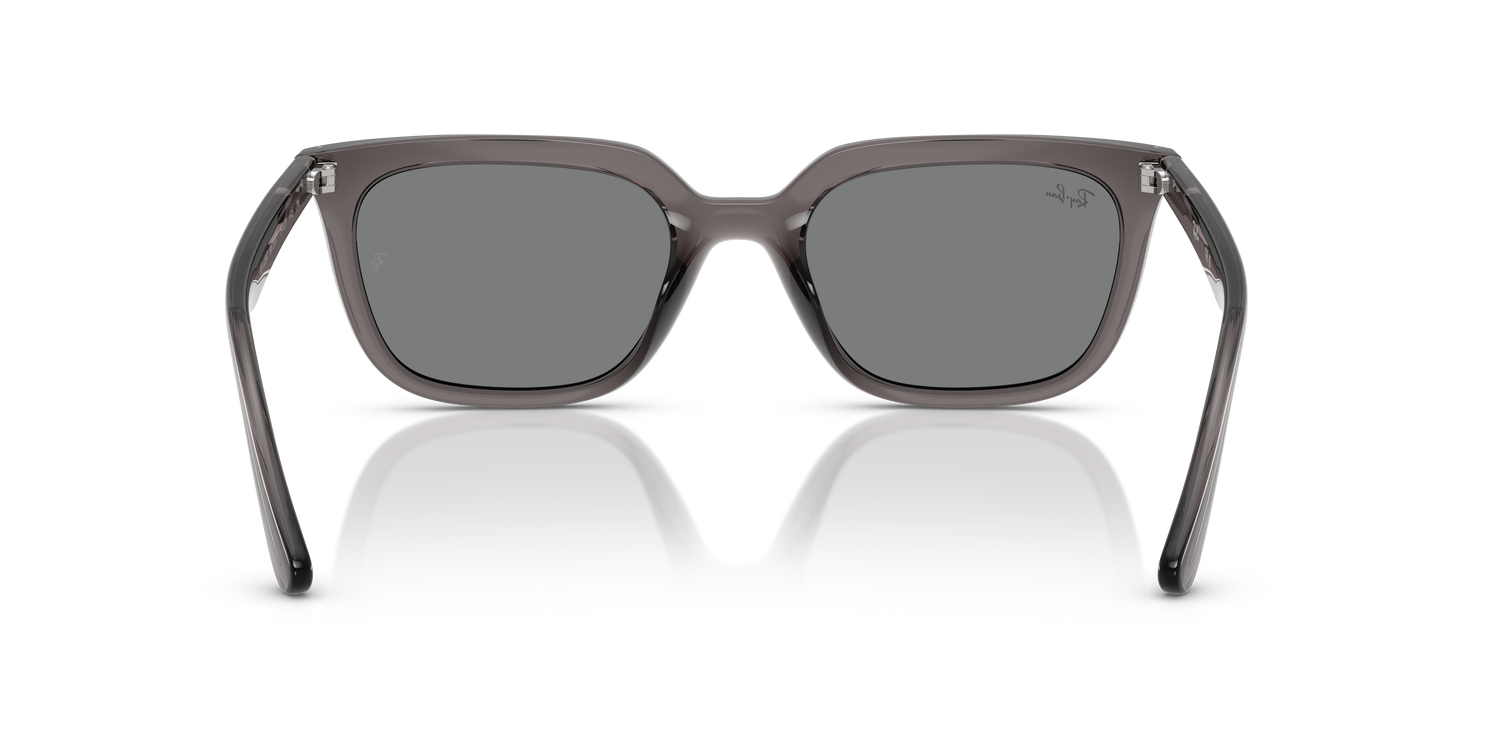 RAY-BAN RB4439D 667587 54