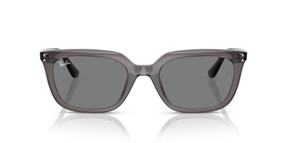 RAY-BAN RB4439D 667587 54