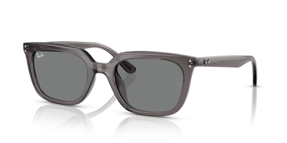 RAY-BAN RB4439D 667587 54