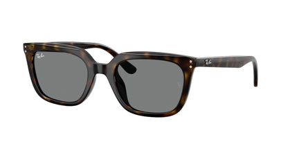 RAY-BAN RB4439D 710/87 54