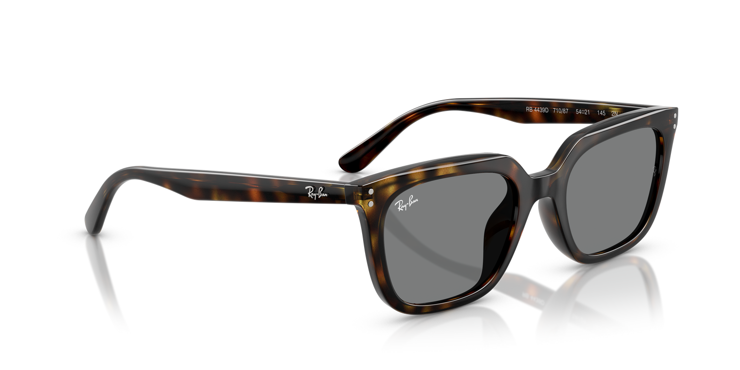 RAY-BAN RB4439D 710/87 54