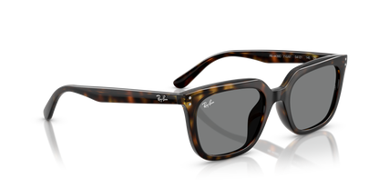 RAY-BAN RB4439D 710/87 54