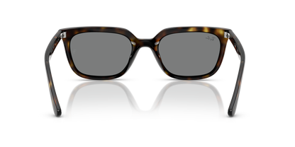 RAY-BAN RB4439D 710/87 54