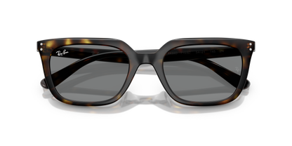 RAY-BAN RB4439D 710/87 54