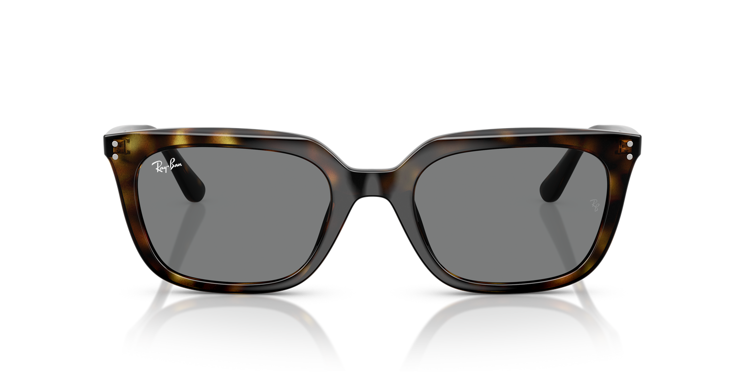 RAY-BAN RB4439D 710/87 54