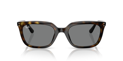 RAY-BAN RB4439D 710/87 54