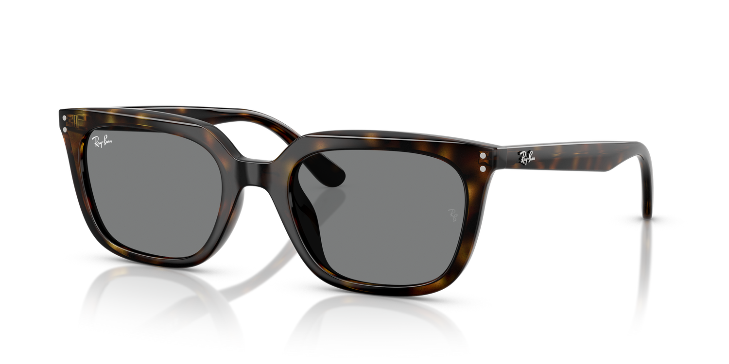 RAY-BAN RB4439D 710/87 54