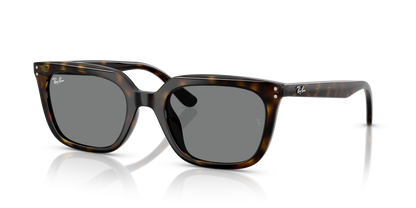RAY-BAN RB4439D 710/87 54