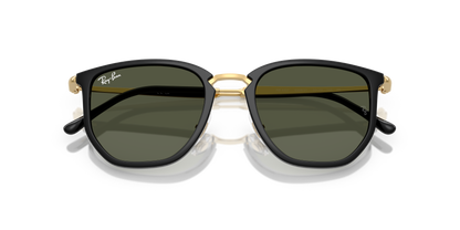 RAY-BAN RB4451 630631 50