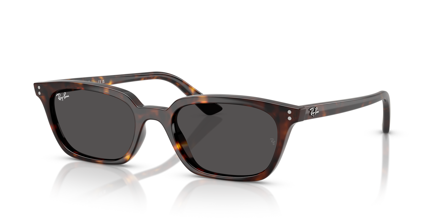 RAY-BAN RB4456 ZAYA 135987 53