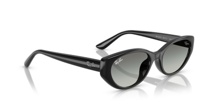RAY-BAN RB4457D 667711 55