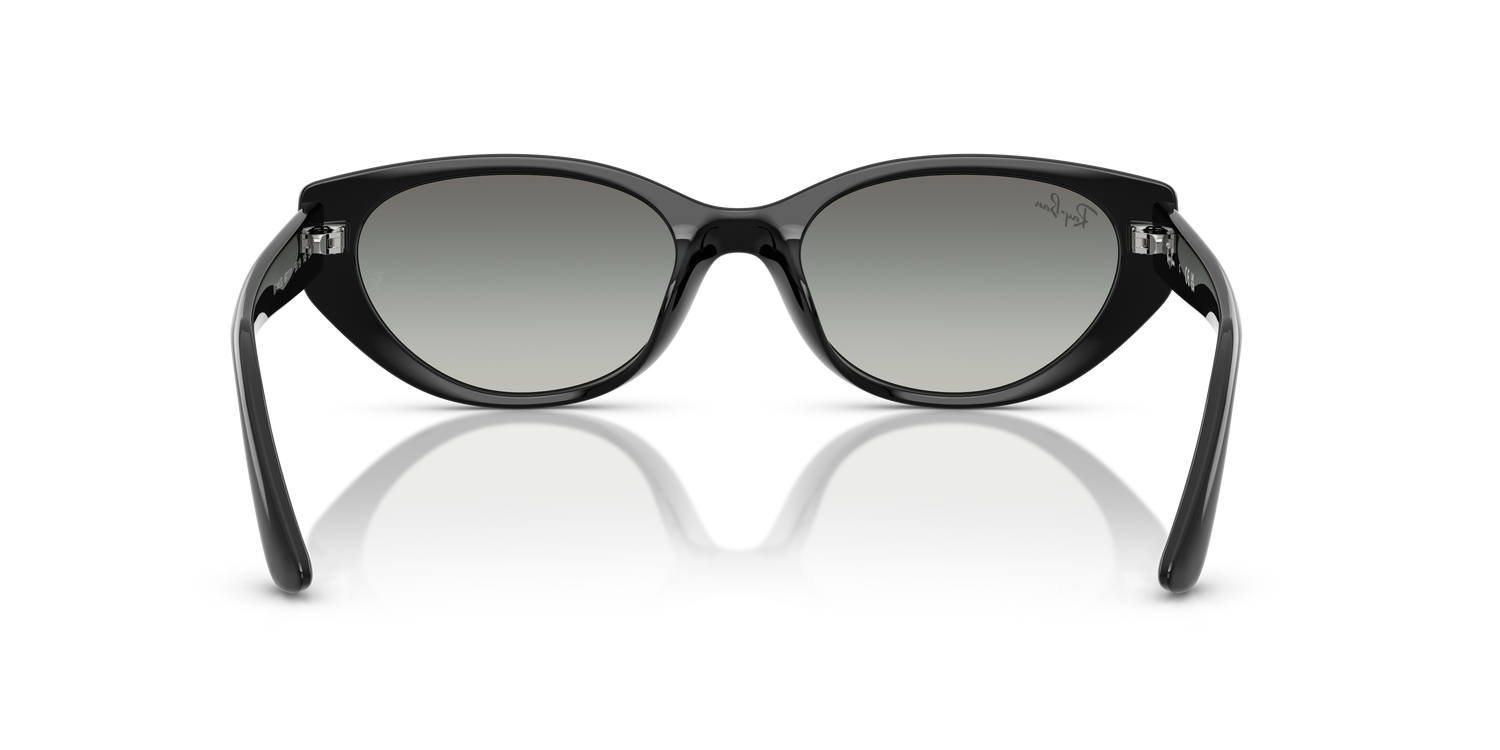 RAY-BAN RB4457D 667711 55