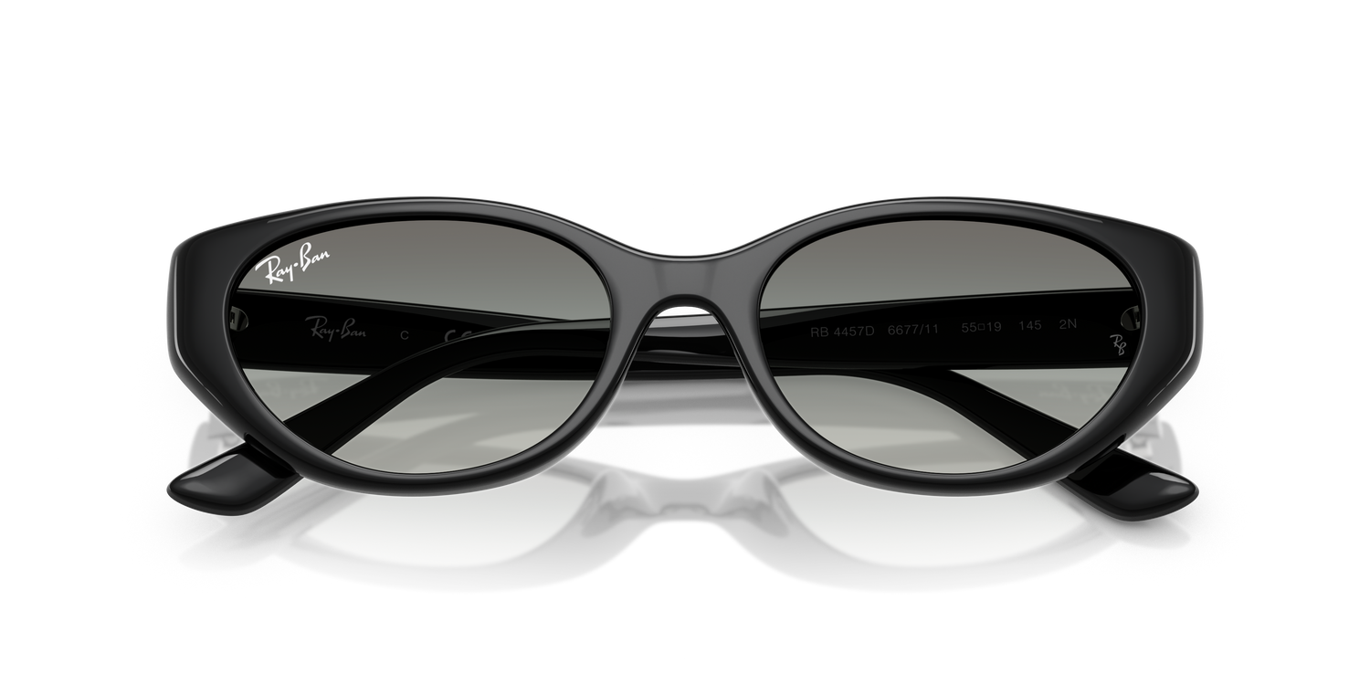 RAY-BAN RB4457D 667711 55