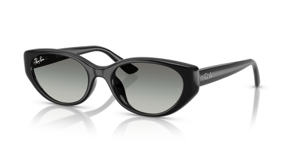 RAY-BAN RB4457D 667711 55