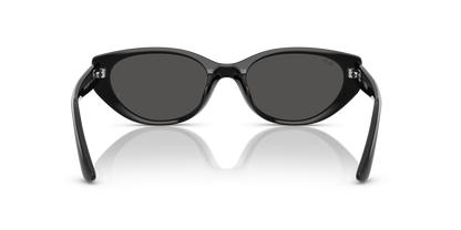 RAY-BAN RB4457D 667787 55
