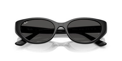 RAY-BAN RB4457D 667787 55