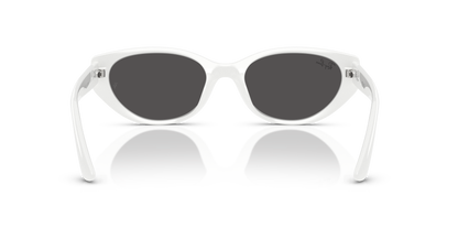 RAY-BAN RB4457D 677287 55