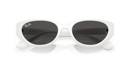 RAY-BAN RB4457D 677287 55