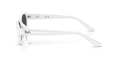 RAY-BAN RB4457D 677287 55