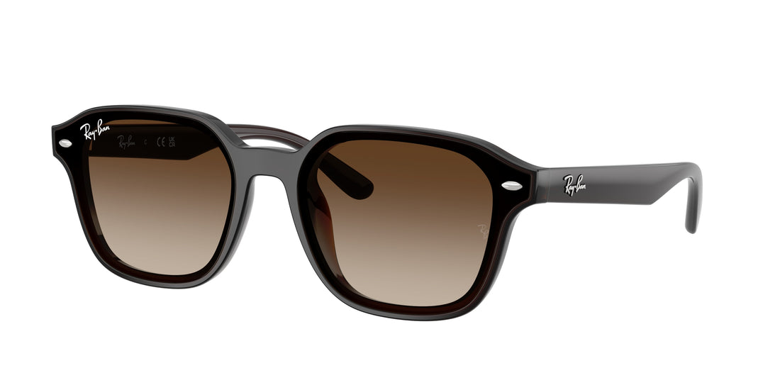 Occhiali da sole ray-ban rb4458d 714/13 marron square unisex taglia 65mm - Vista principale