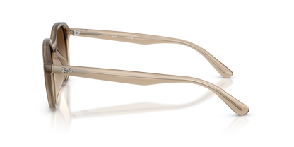 RAY-BAN RB4459D 616613 54