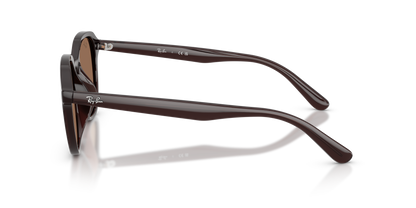 RAY-BAN RB4459D 623173 54