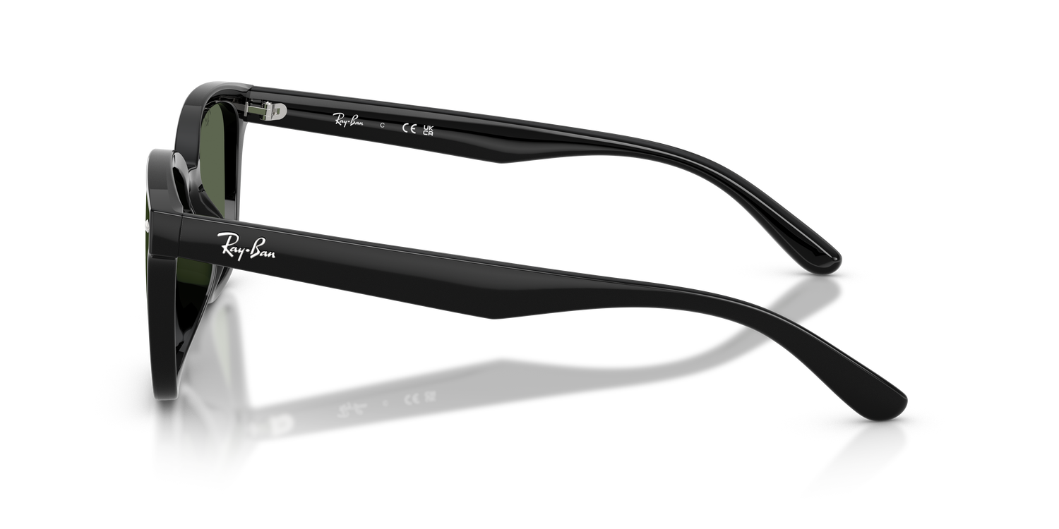 RAY-BAN RB4461D 601/71 64
