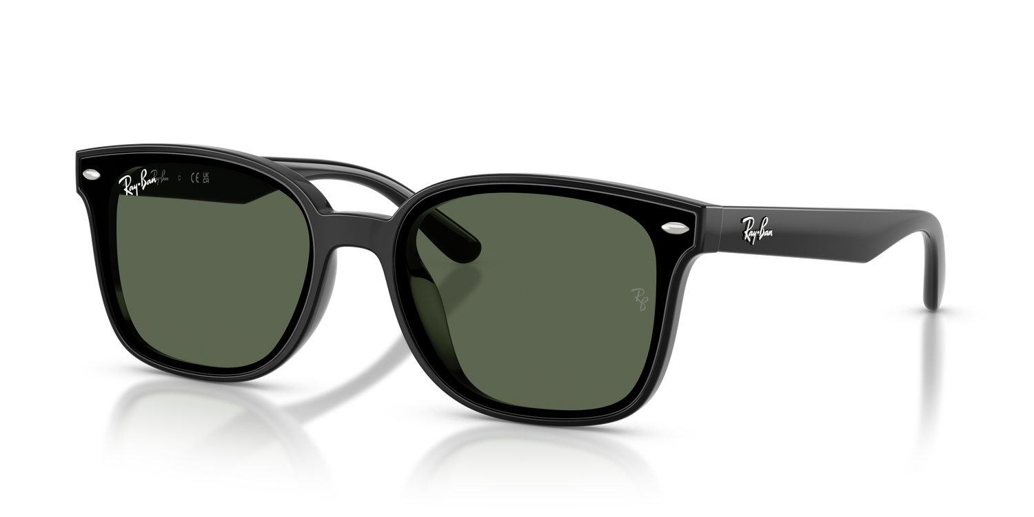 RAY-BAN RB4461D 601/71 64