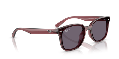 RAY-BAN RB4461D 659373 64