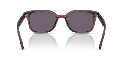RAY-BAN RB4461D 659373 64