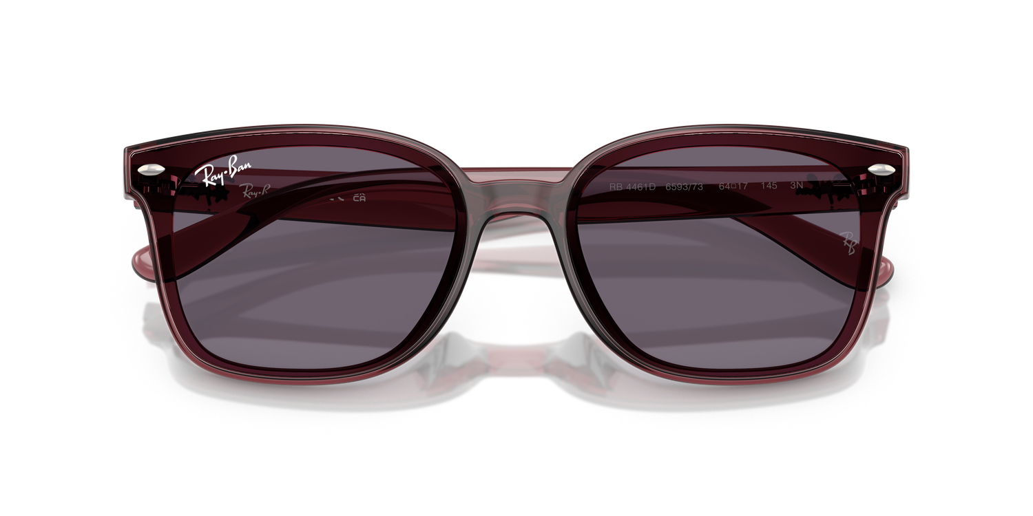 RAY-BAN RB4461D 659373 64
