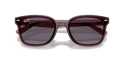 RAY-BAN RB4461D 659373 64