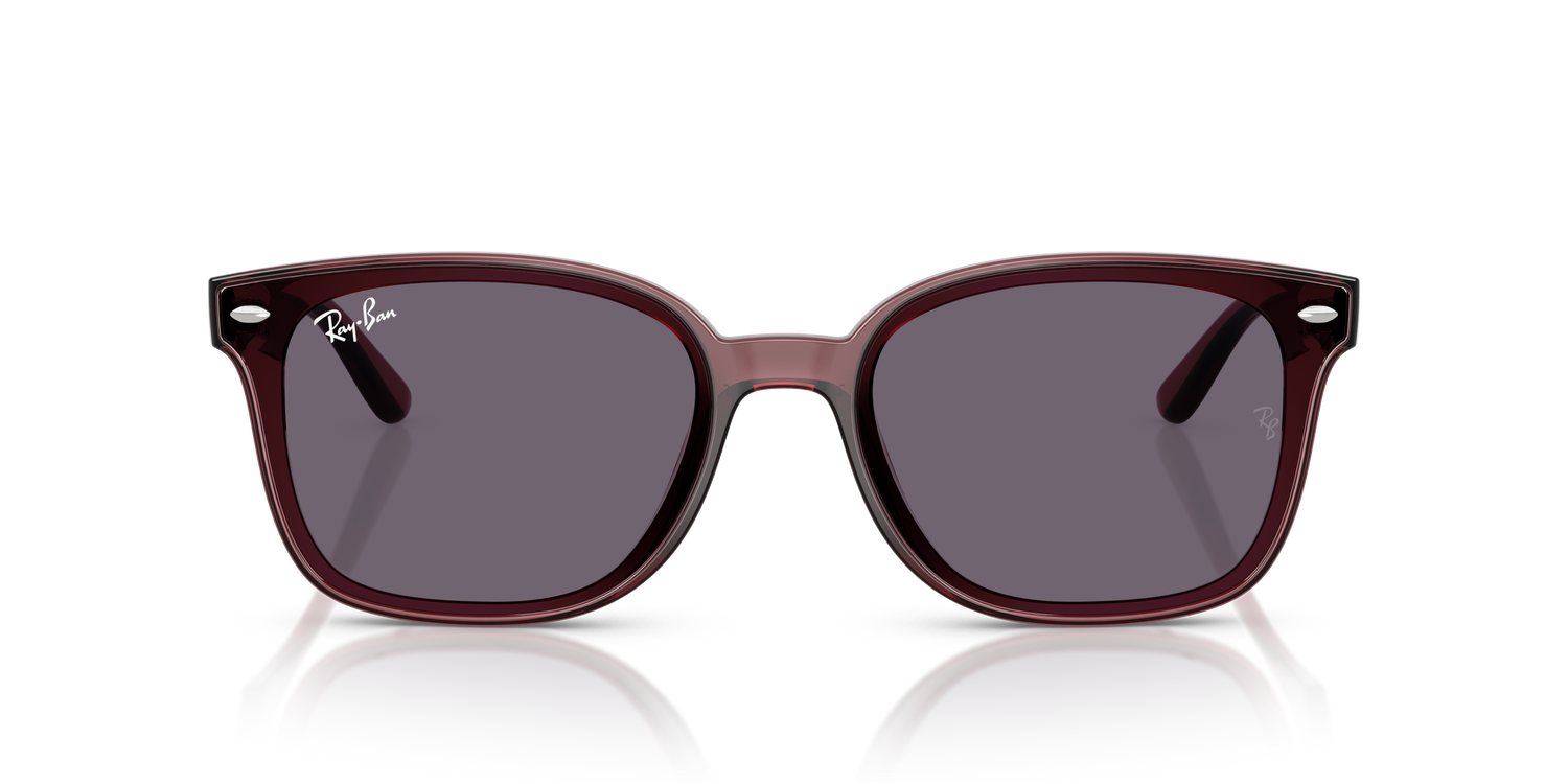 RAY-BAN RB4461D 659373 64