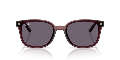 RAY-BAN RB4461D 659373 64