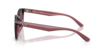 RAY-BAN RB4461D 659373 64